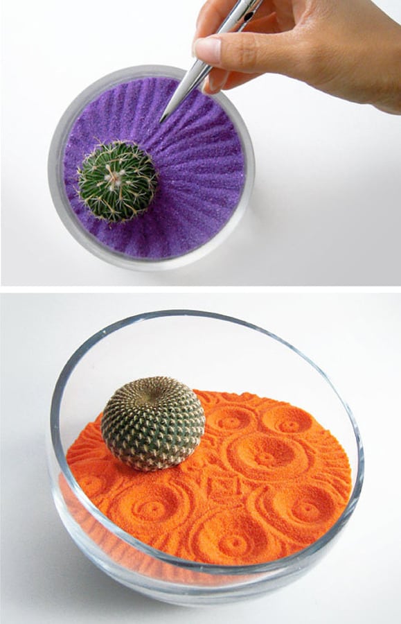 Decoração Com Cactos