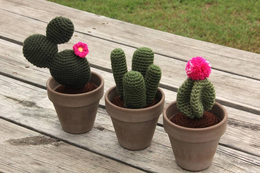 Decoração Com Cactos