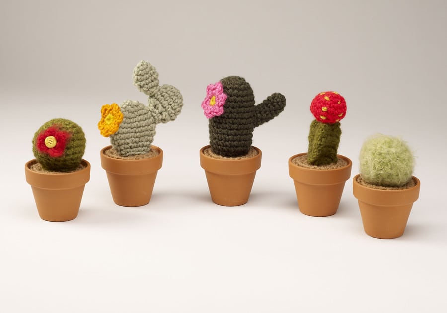 Decoração Com Cactos