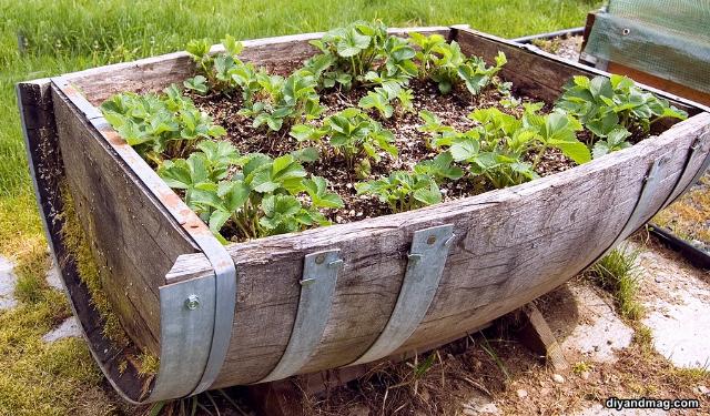 decoração de jardins com material reciclável