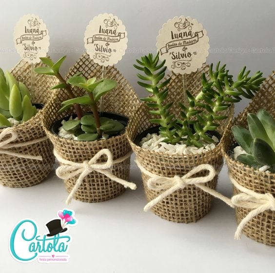 Vasinhos para plantas  de juta