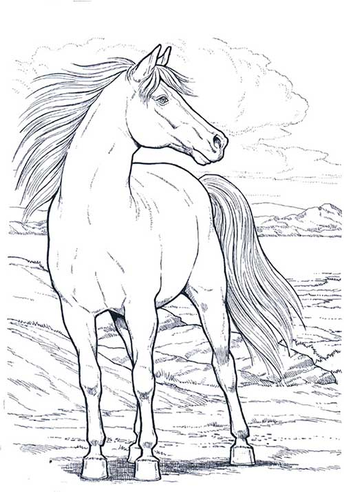 Desenho de cavalo para colorir