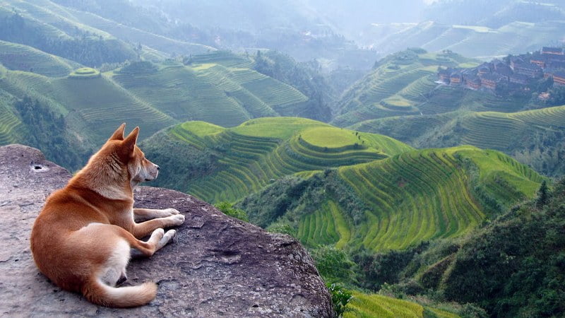 Fotos de paisagens bonitas