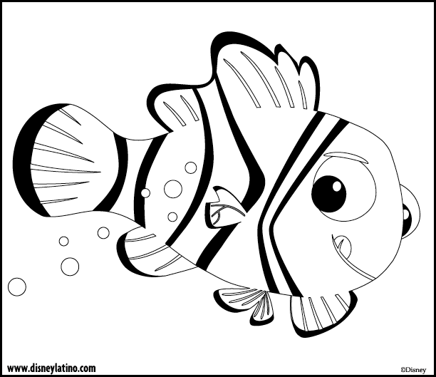 Desenho de peixe