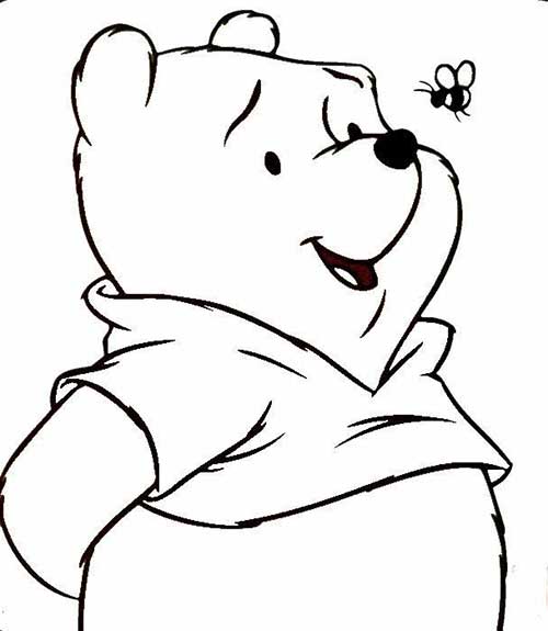 desenho de urso