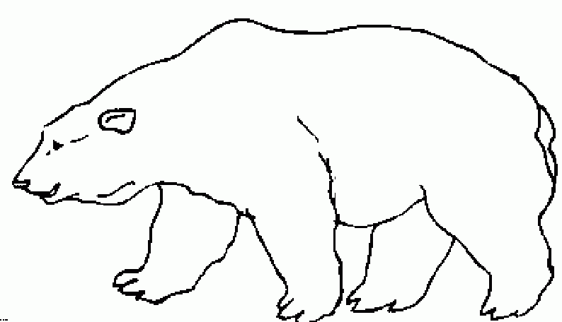 desenho de urso