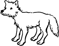 Desenho de Lobo Imagens