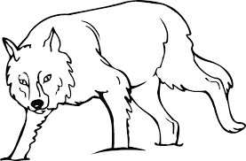 Desenho de Lobo Imagens