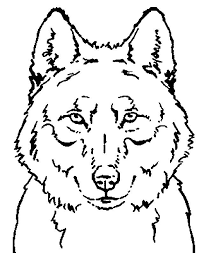 Desenho de Lobo Imagens