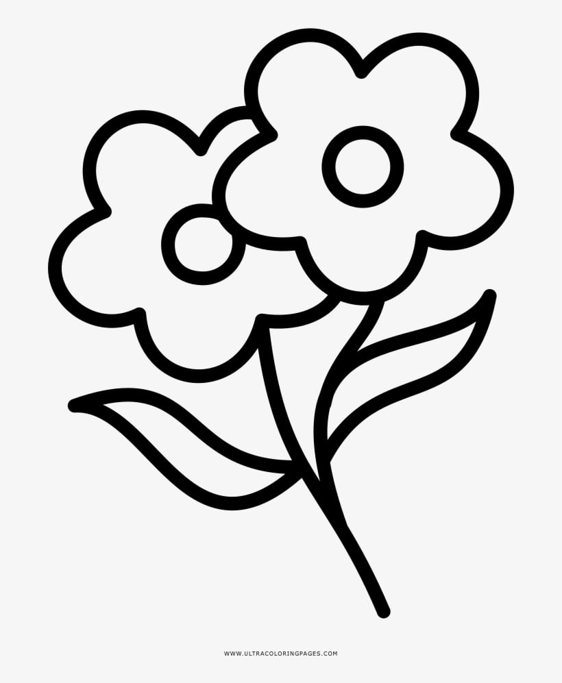 desenho de flor