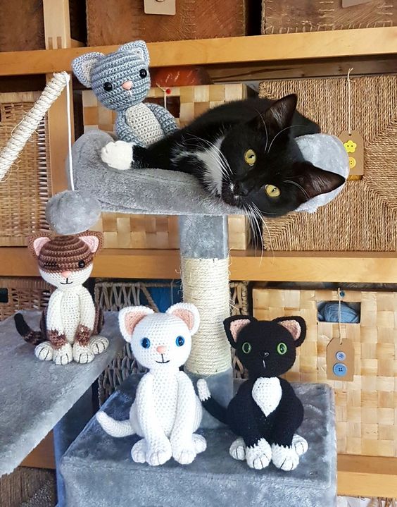 Gatinhos de Crochê Amigurumi