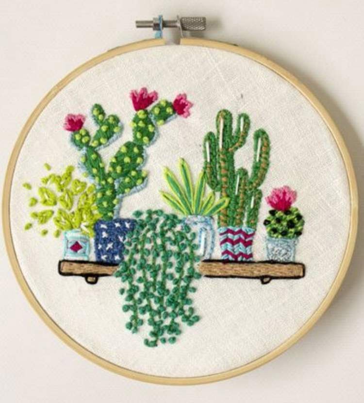 Mini Suculentas e Cactus