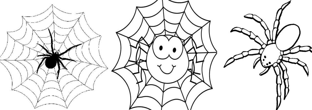 Desenho de aranha para colorir e imprimir