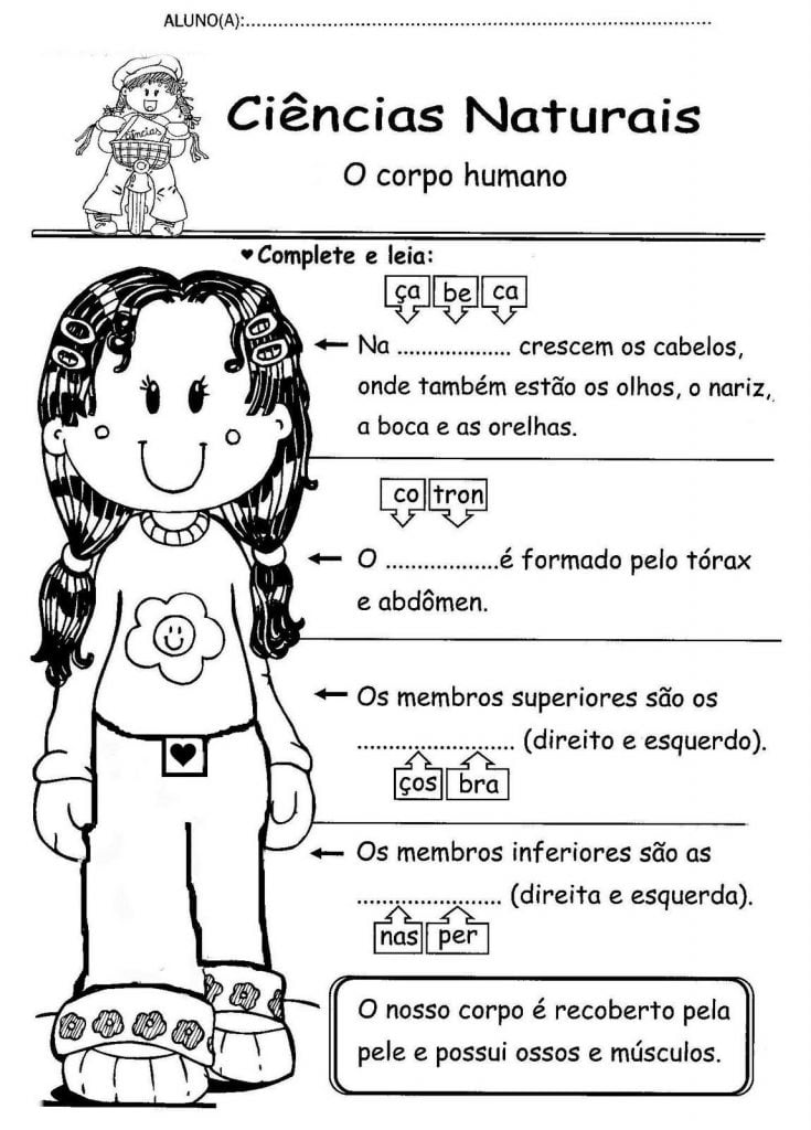 atividade de ciencias naturais 2 ano