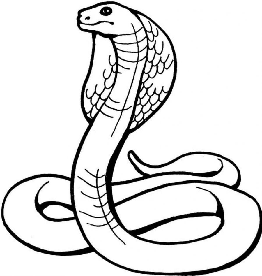 cobra naja desenho