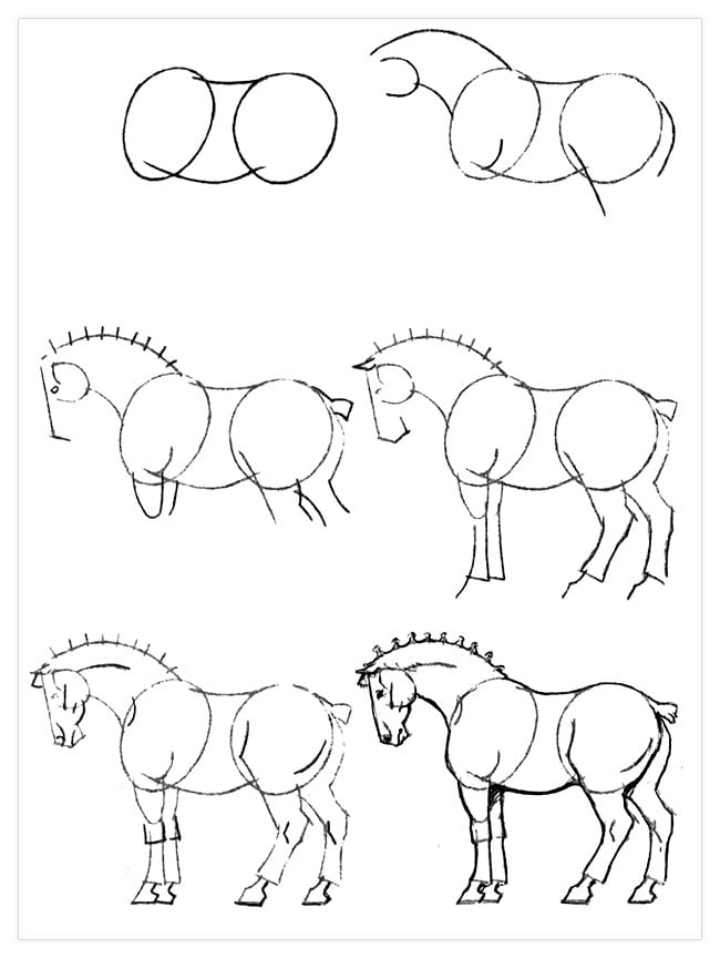 como desenhar um cavalo passo a passo