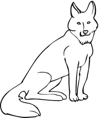 desenho coyote