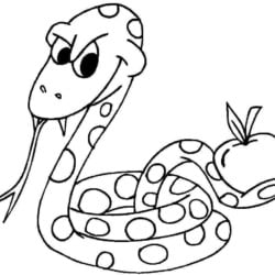 desenho de cobra para colorir