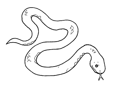 desenho de serpente