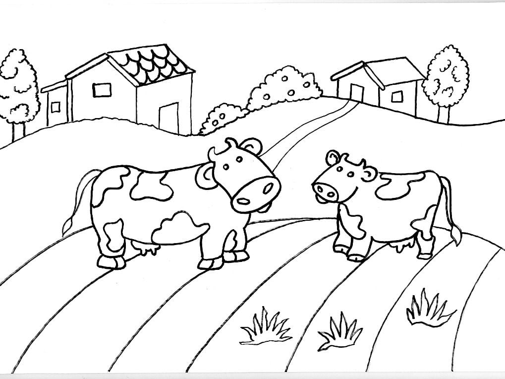 imagem de vaca para colorir