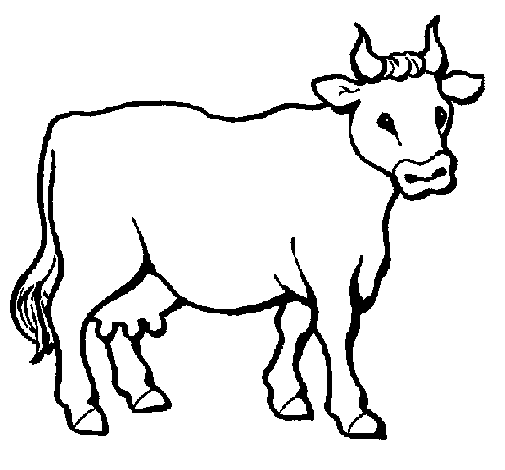 desenho de vaca para colorir