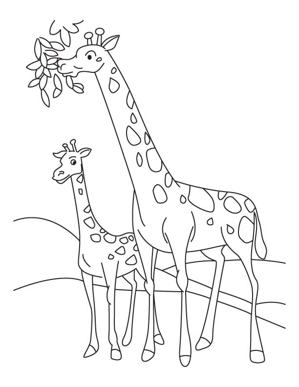 desenho para colorir girafa