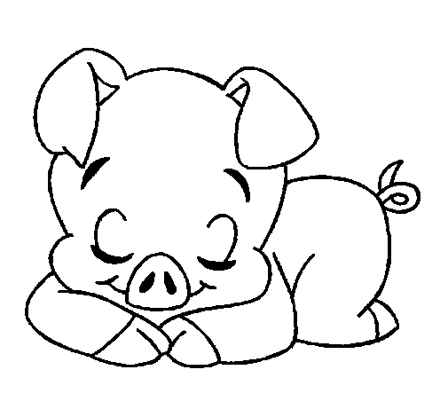 desenho porco