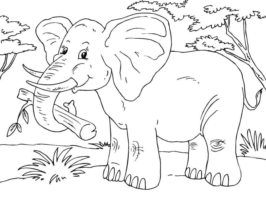 desenho de elefante