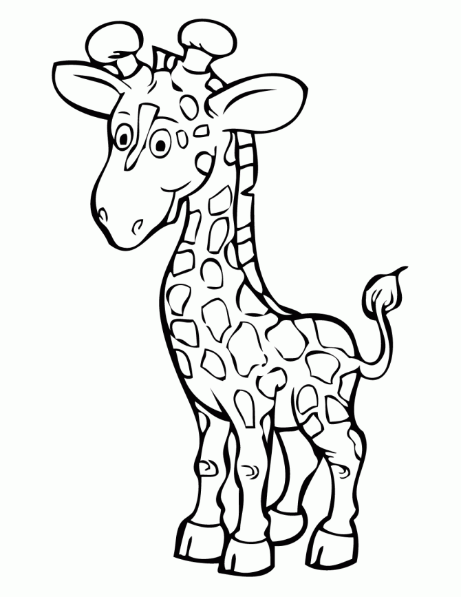 girafa desenho