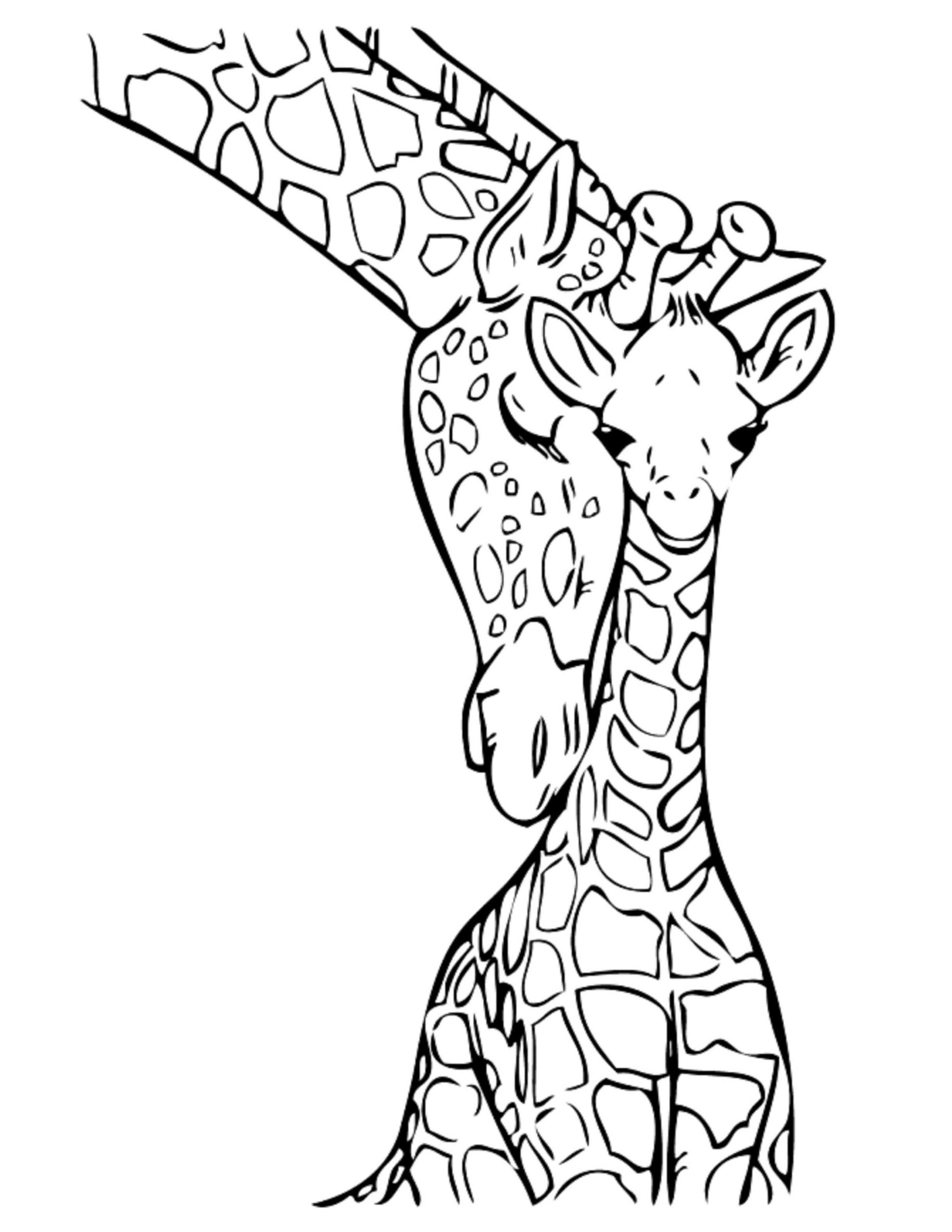 girafas para desenhar