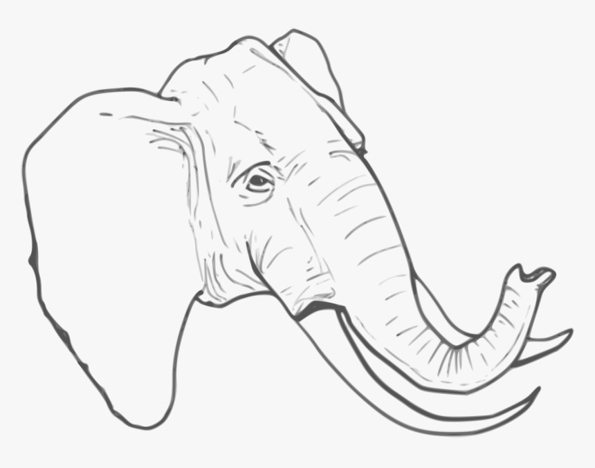 elefante em desenho