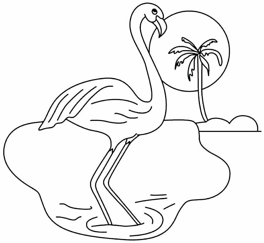 desenho de flamingo para colorir