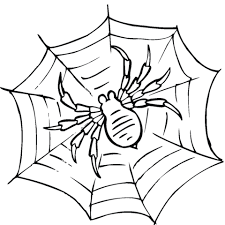 Desenho de teia de aranha para pintar