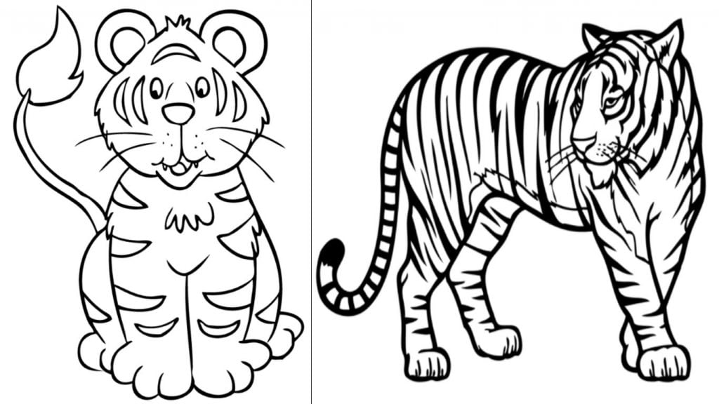 desenho de tigre para colorir e imprimir