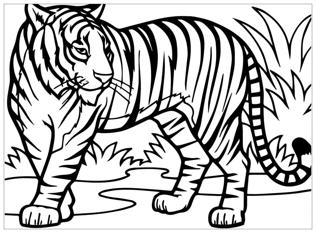 desenho de tigre para desenhar