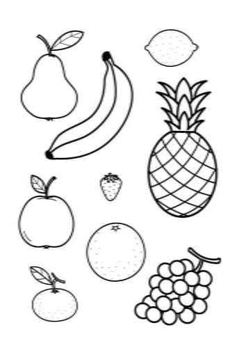 imagem de frutas para desenhar