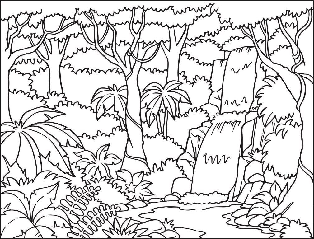 desenho de floresta para colorir