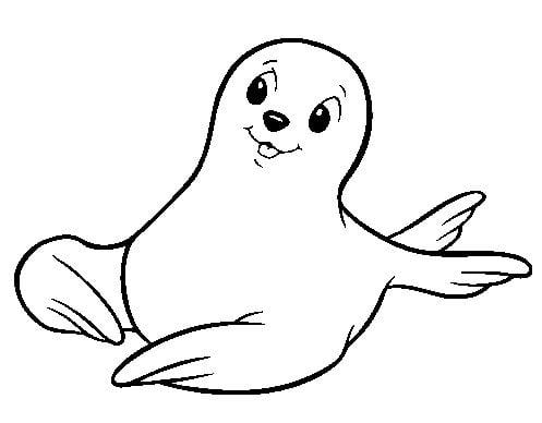 desenho de foca para imprimir