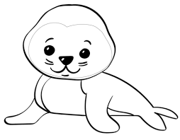 desenho de foca para pintar