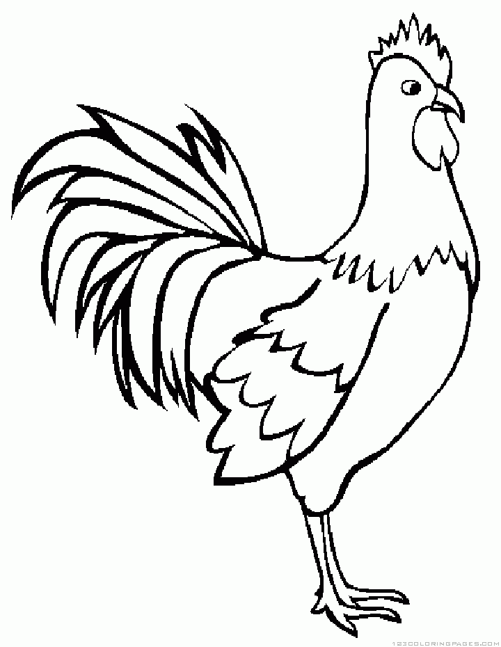 desenho de galo para colorir