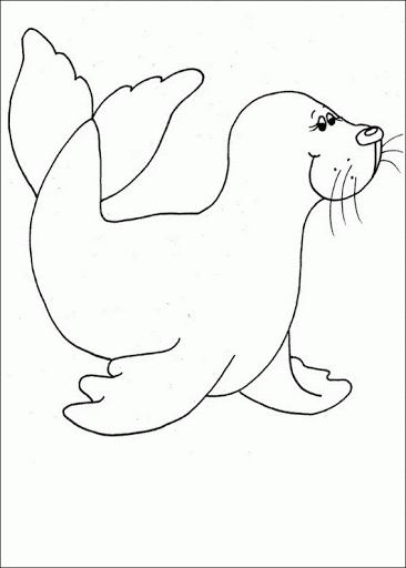 imagem de foca para desenhar