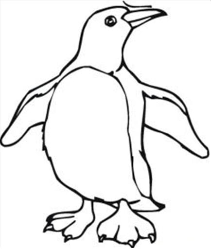 imagem de pinguim para colorir