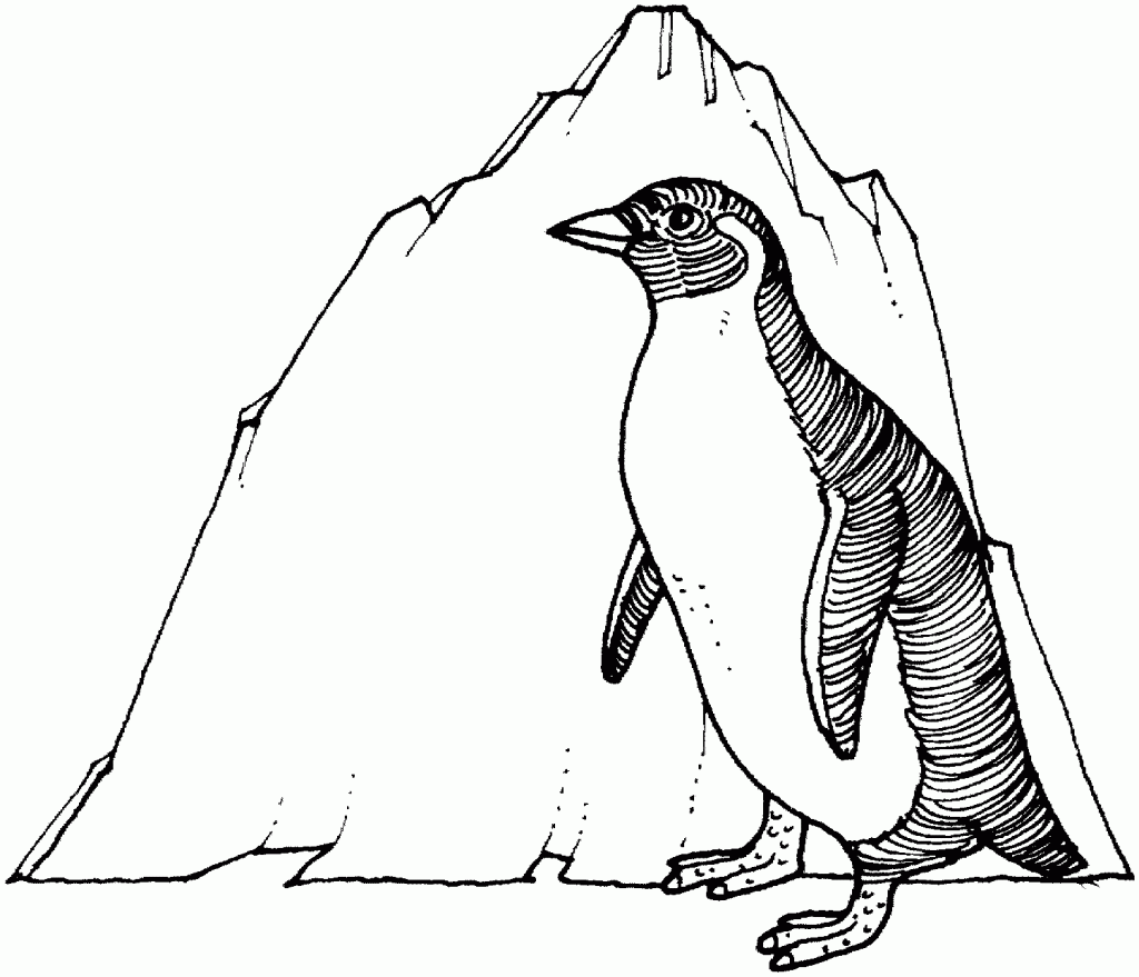 imagem de pinguim para imprimir