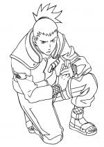 Desenho Do Shikamaru Para Colorir Imprimir E Desenhar