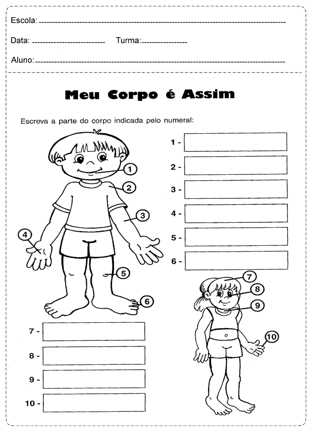 exercicios de Ciências 1º Ano