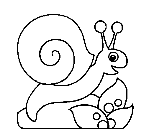 Desenho de caracol para imprimir