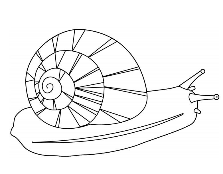 Desenho de caracol para pintar