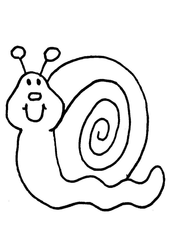 Desenho de caracol