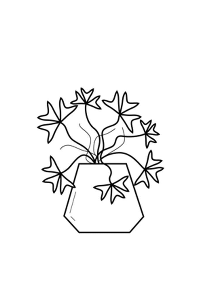 Desenho de plantas para colorir