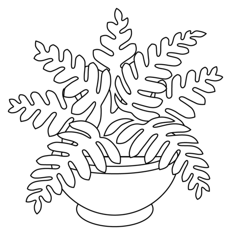 Desenho de plantas para colorirpintar